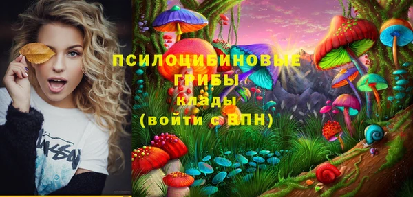 стаф Домодедово