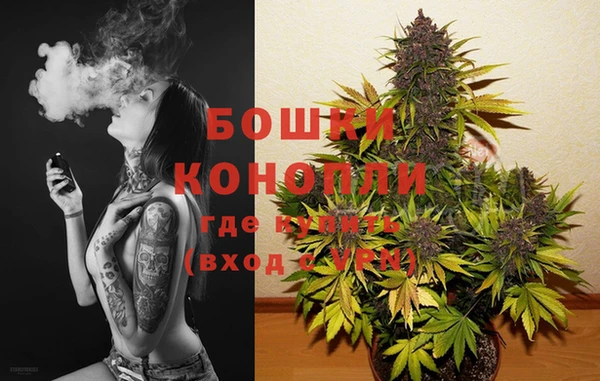 соль ск Лиски